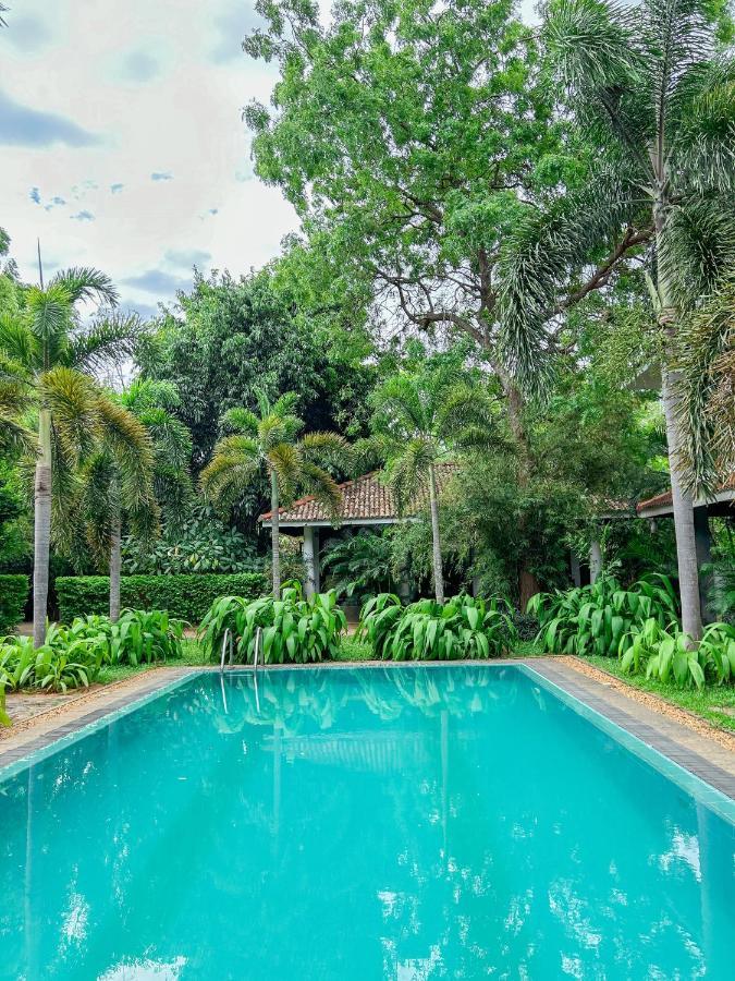 Hotel Wild Heaven Tissamaharama Exterior foto