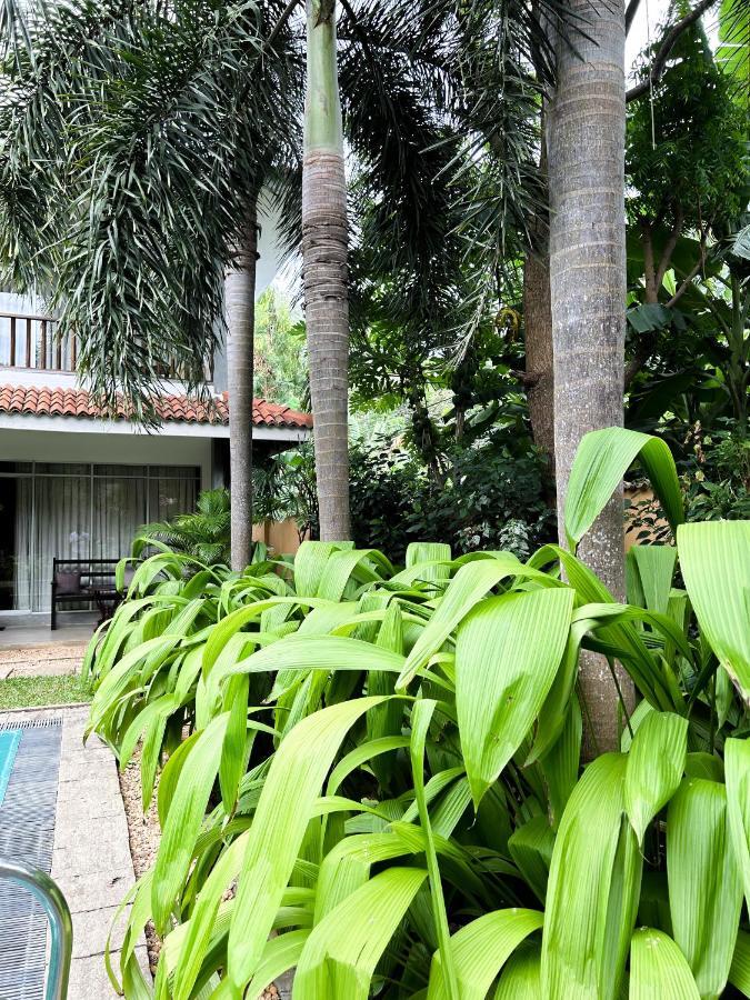 Hotel Wild Heaven Tissamaharama Exterior foto