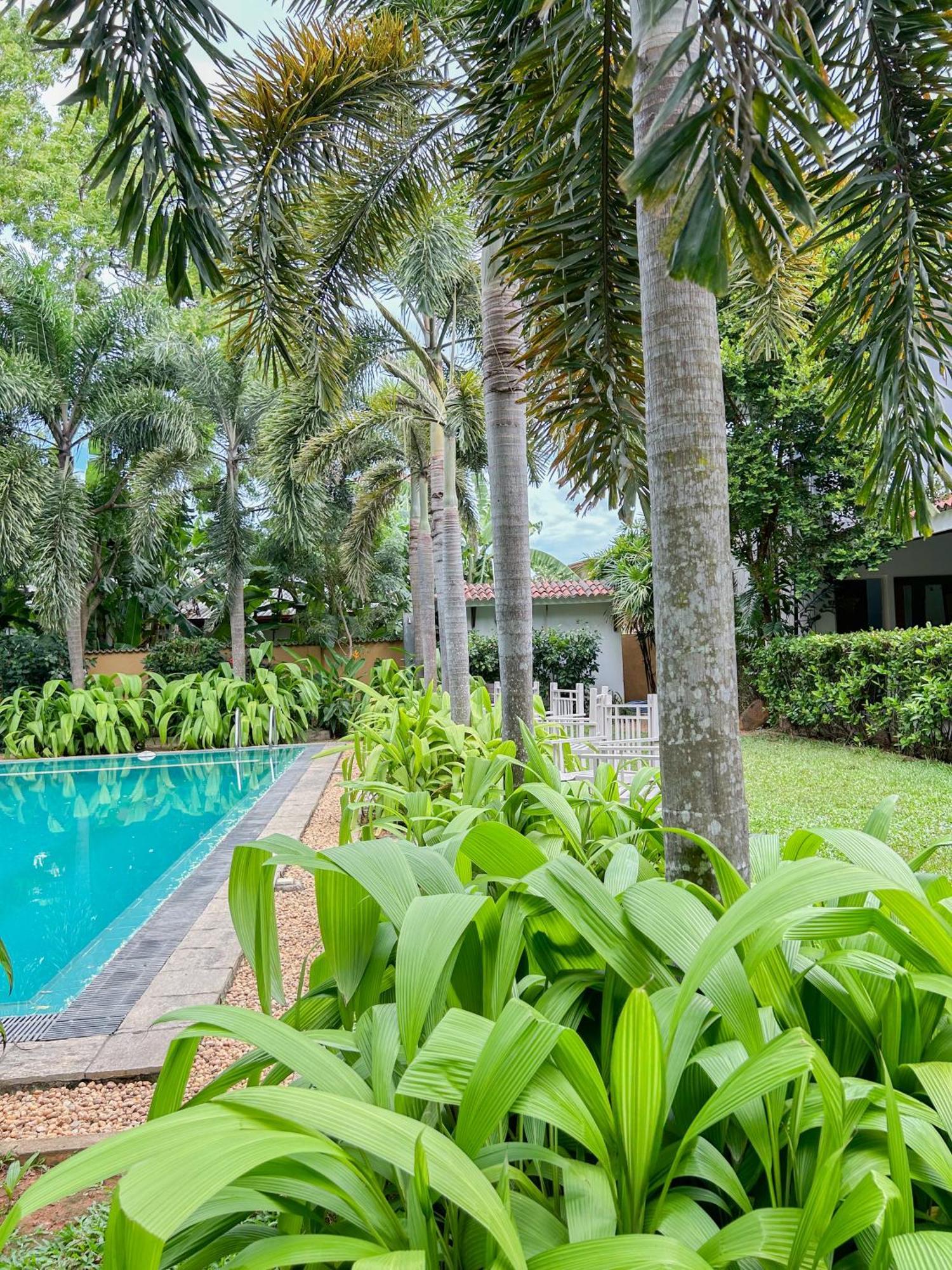 Hotel Wild Heaven Tissamaharama Exterior foto
