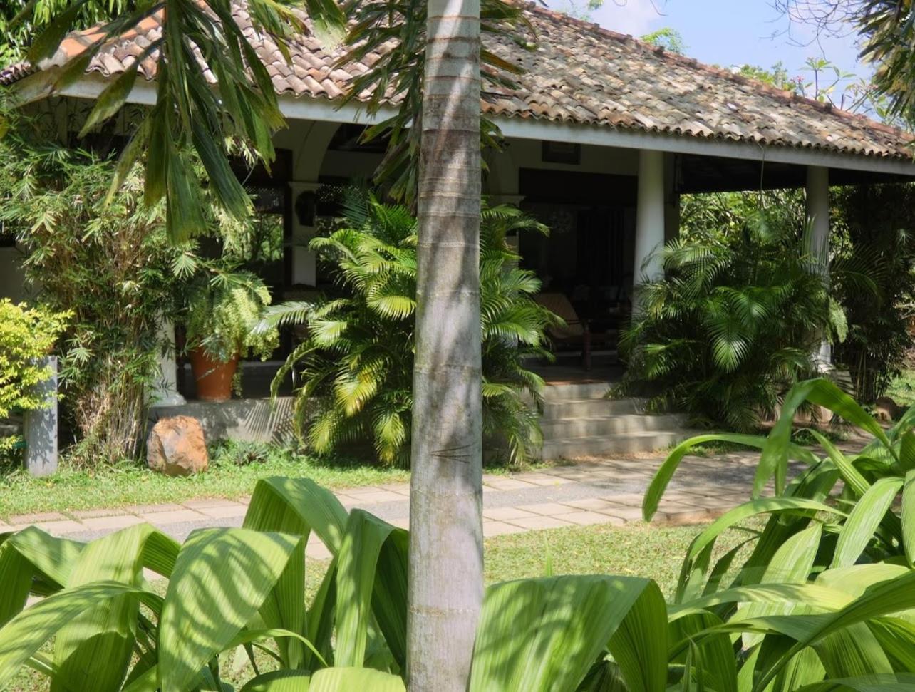 Hotel Wild Heaven Tissamaharama Exterior foto
