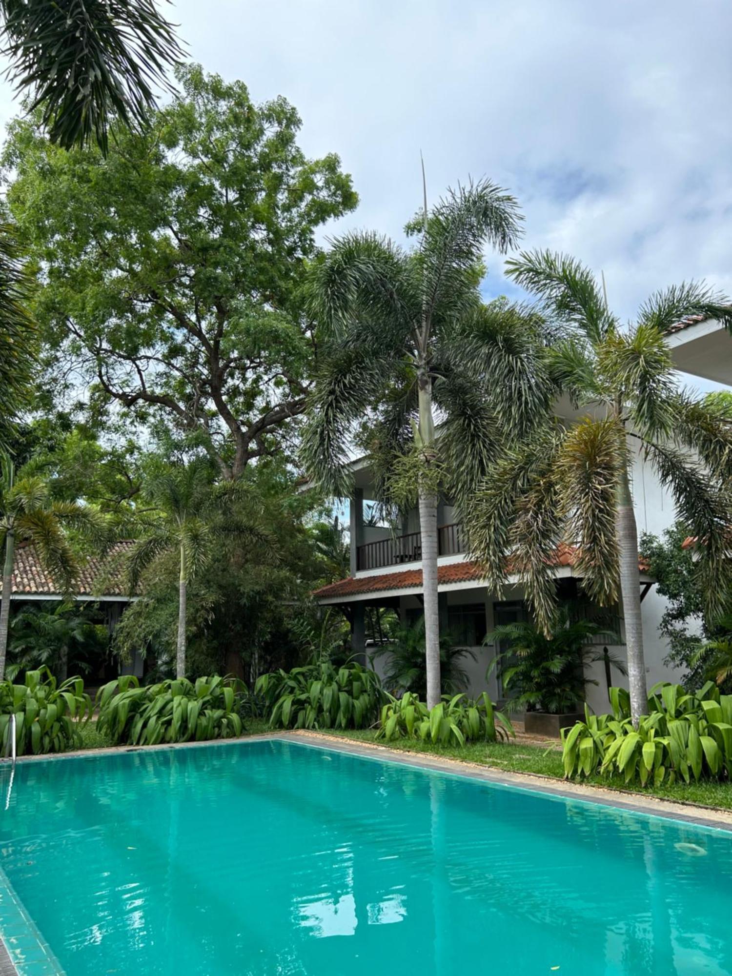 Hotel Wild Heaven Tissamaharama Exterior foto