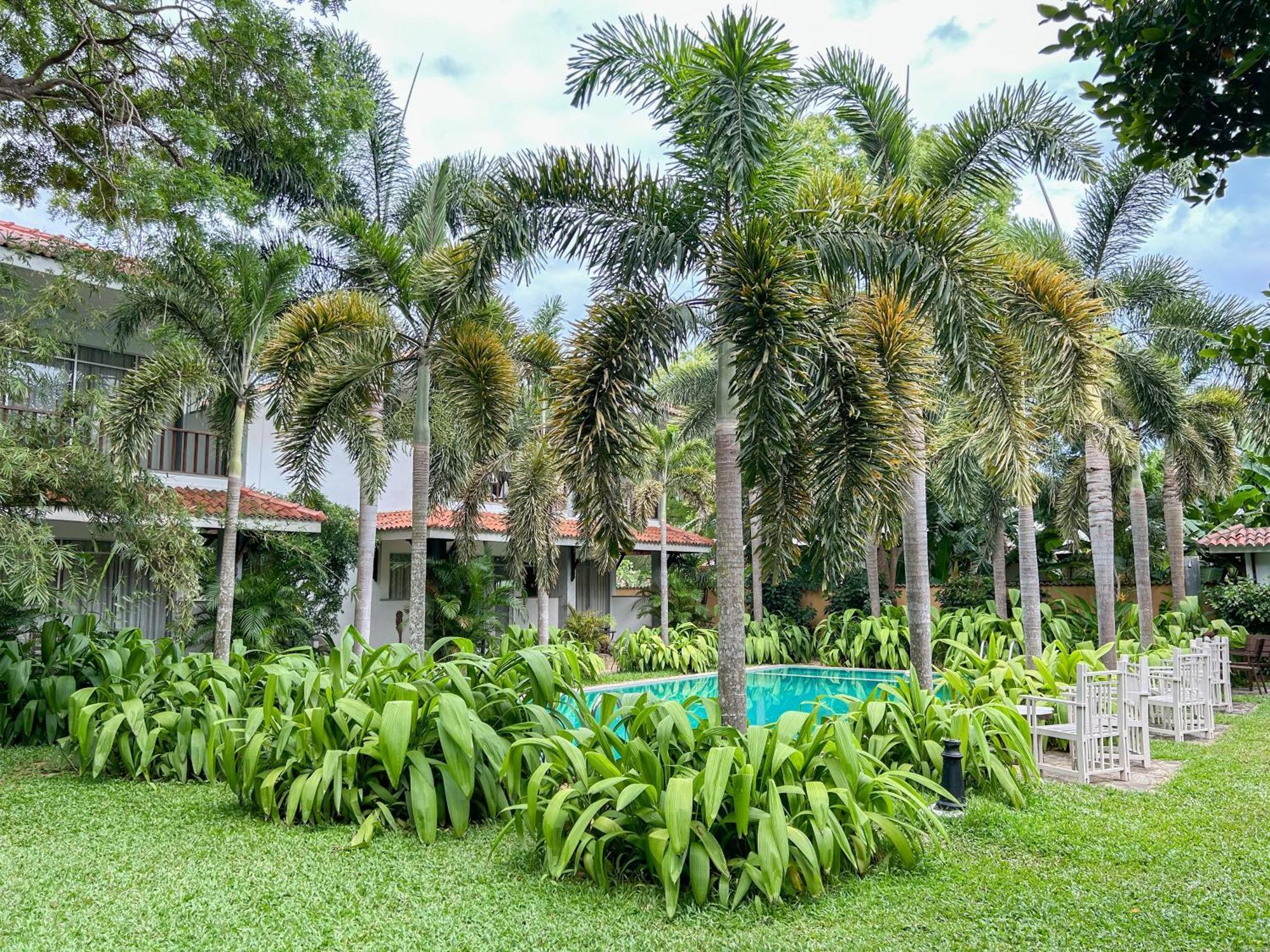 Hotel Wild Heaven Tissamaharama Exterior foto