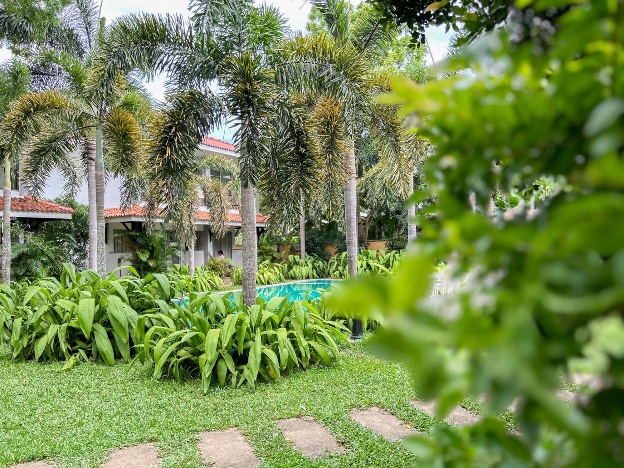 Hotel Wild Heaven Tissamaharama Exterior foto