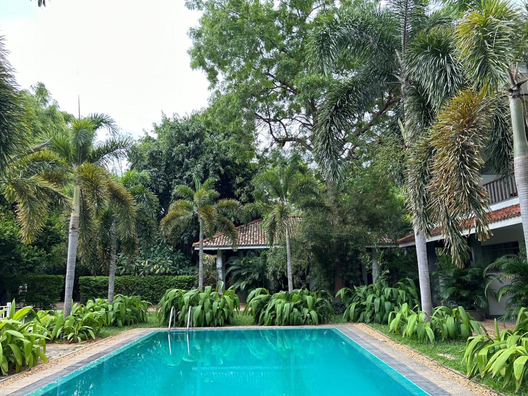 Hotel Wild Heaven Tissamaharama Exterior foto